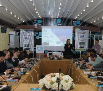Open data 360x320