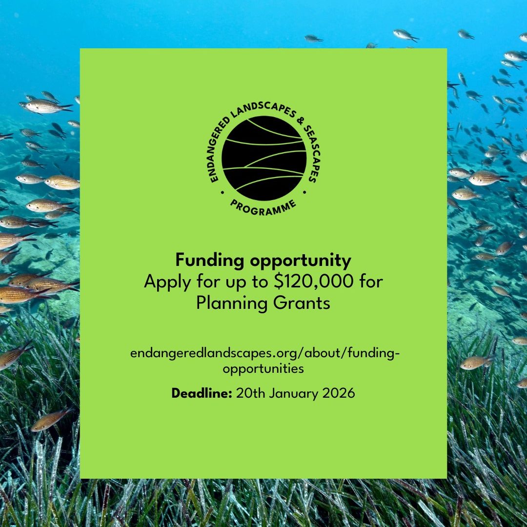 560045628_1115784480737174_5367684169124241163_n