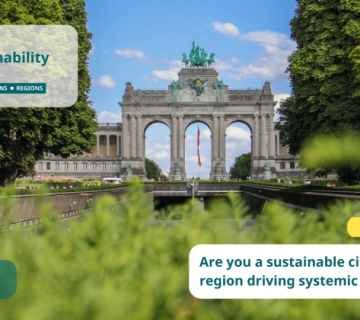 ZgZxlZo4 800 440 80 360x320